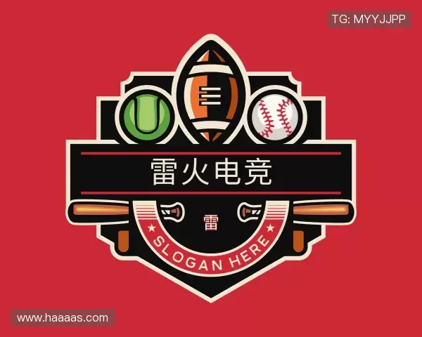 关于雷火电竞官网